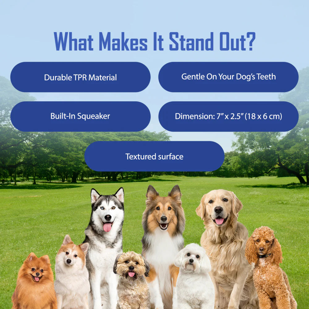 NERF DOG EXO Micro Squeak Barbell Chew Toy For Dog - Blue - Heads Up For Tails