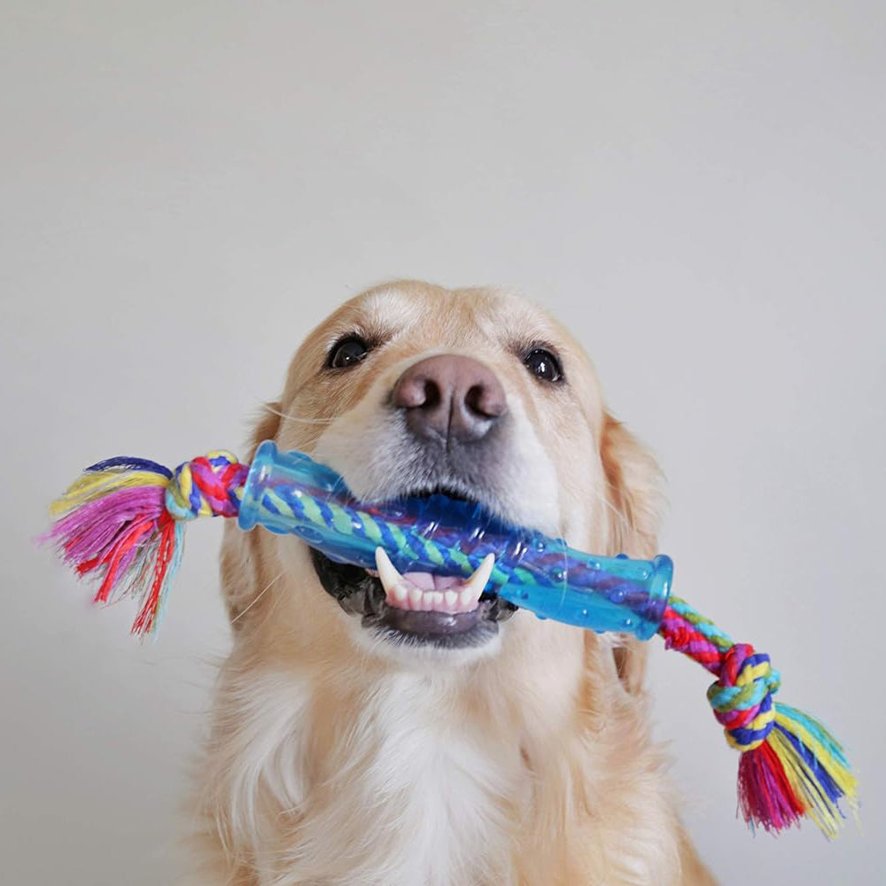 Petstages Orka Stick Chew Dog Chew Toy - Heads Up For Tails