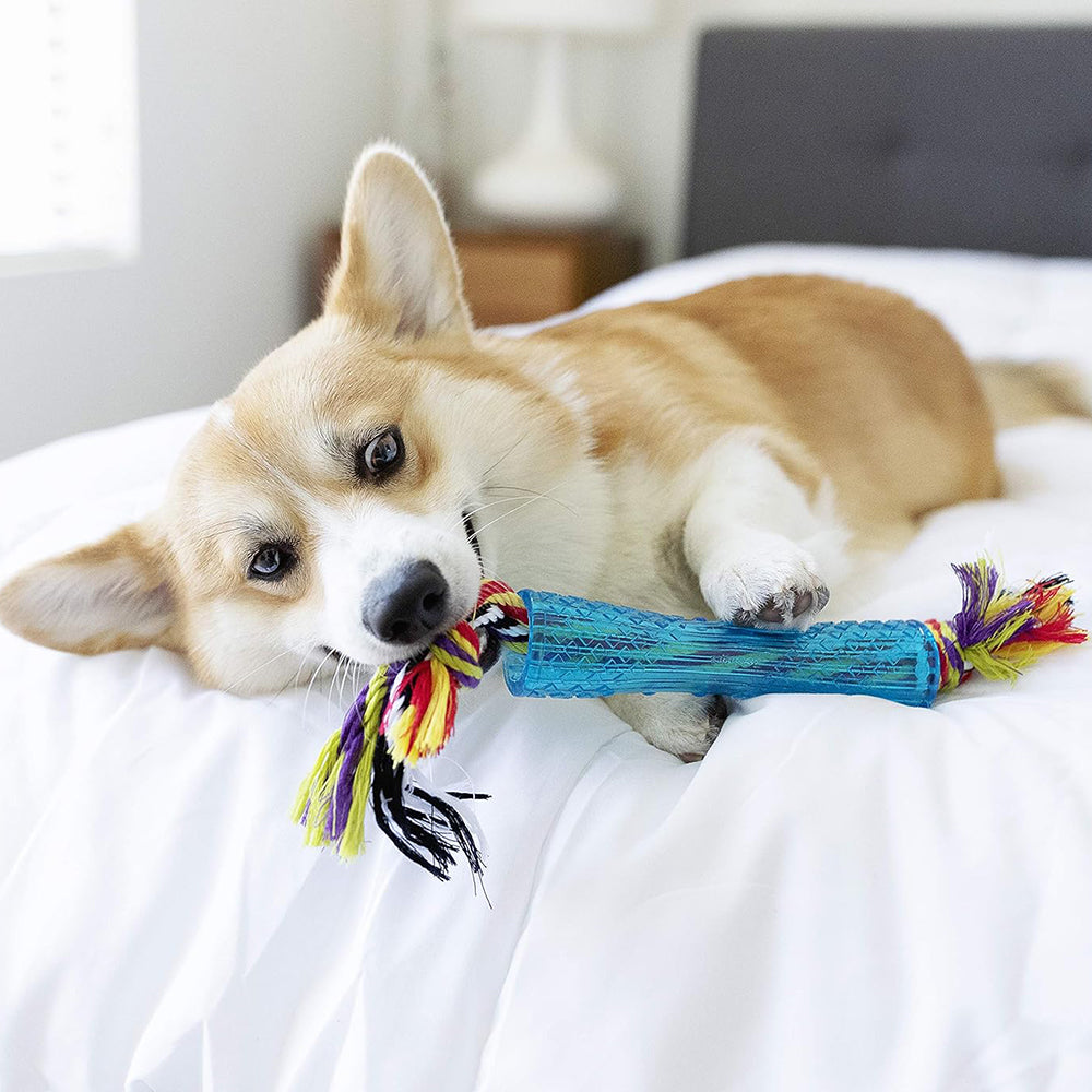 Petstages Orka Stick Chew Dog Chew Toy - Heads Up For Tails