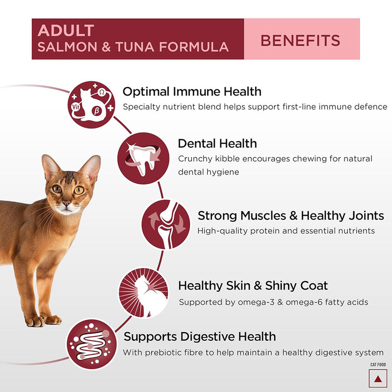 Purina Pro Plan Salmon & Tuna Adult Dry Food For Cat