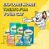 Temptations Creamy Purrrr-ee Chicken & Tuna Flavors Cat Treats - 240 gm (20 x 12gm) - Heads Up For Tails