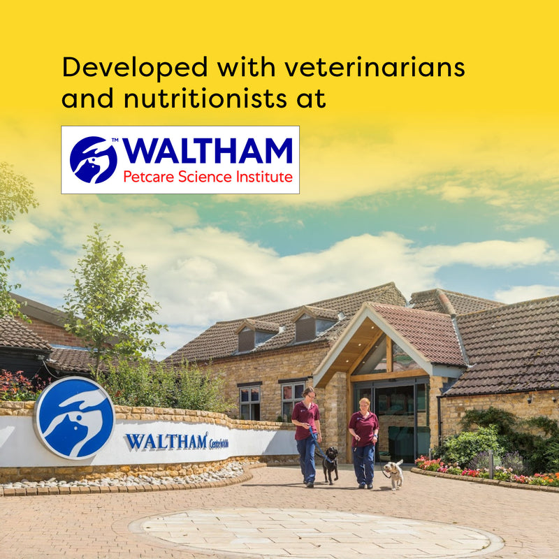 Temptations Creamy Purrrr-ee Maguro & Scallop Flavors Cat Treats - 240 gm (20 x 12gm) - Heads Up For Tails