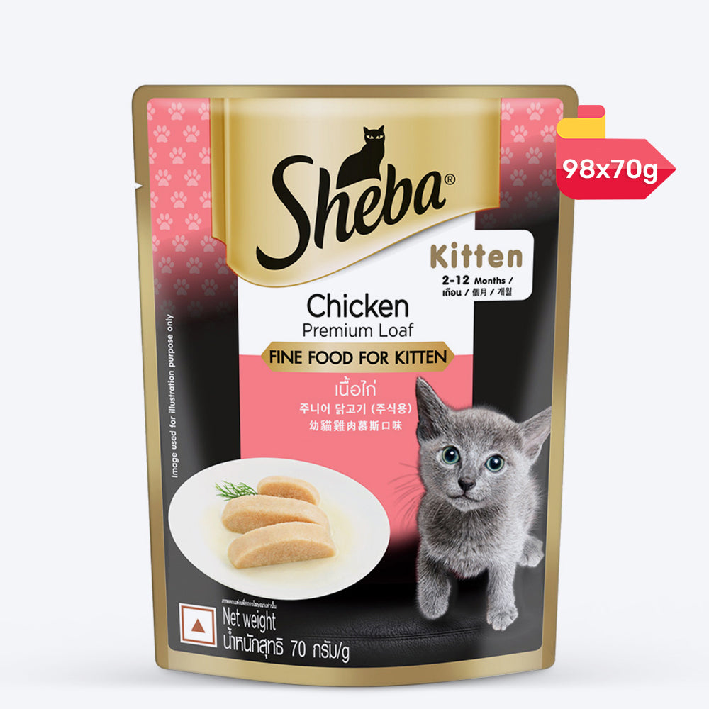 Sheba Chicken Premium Loaf Wet Kitten Food - 70 gm Packs - Heads Up For Tails