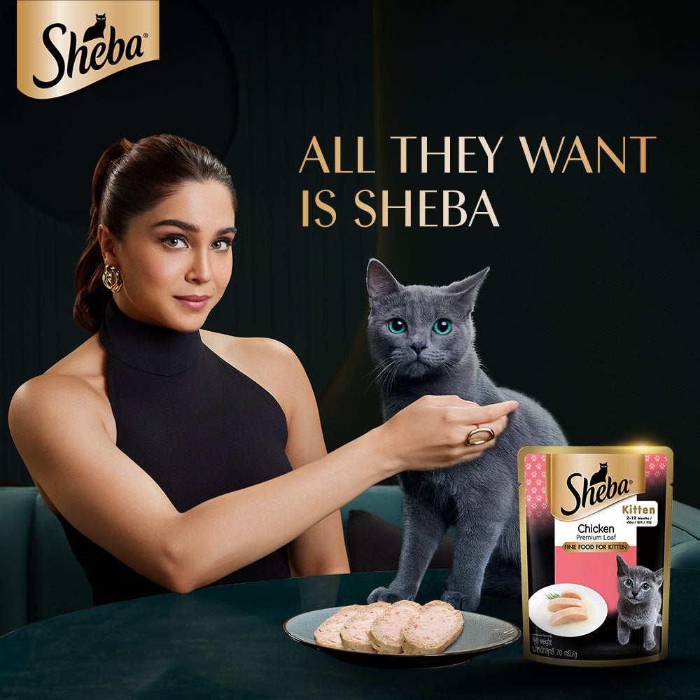 Sheba Rich Chicken Premium Loaf Wet Kitten Food Box - (28 x 70gm) - Heads Up For Tails