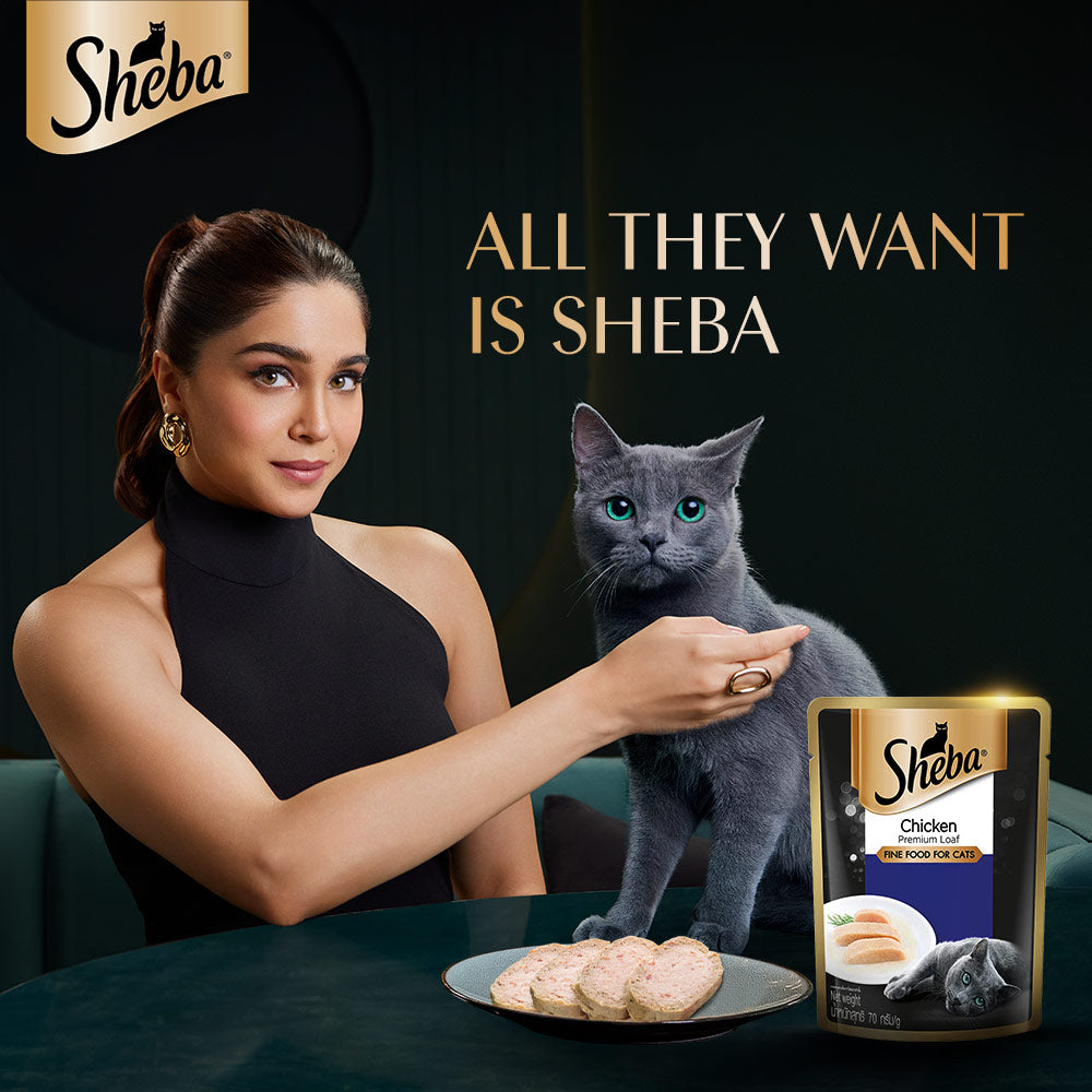 Sheba Rich Chicken Premium Loaf Adult Wet Cat Food - 70 gm Packs