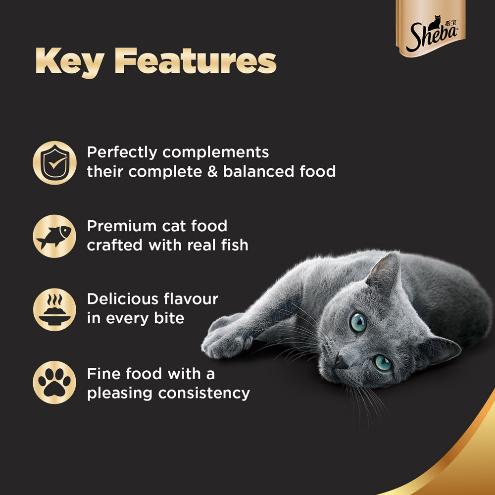 Sheba Rich Premium Tuna Pumpkin & Carrot In Gravy Adult Wet Cat Food - 70 g Packs_04