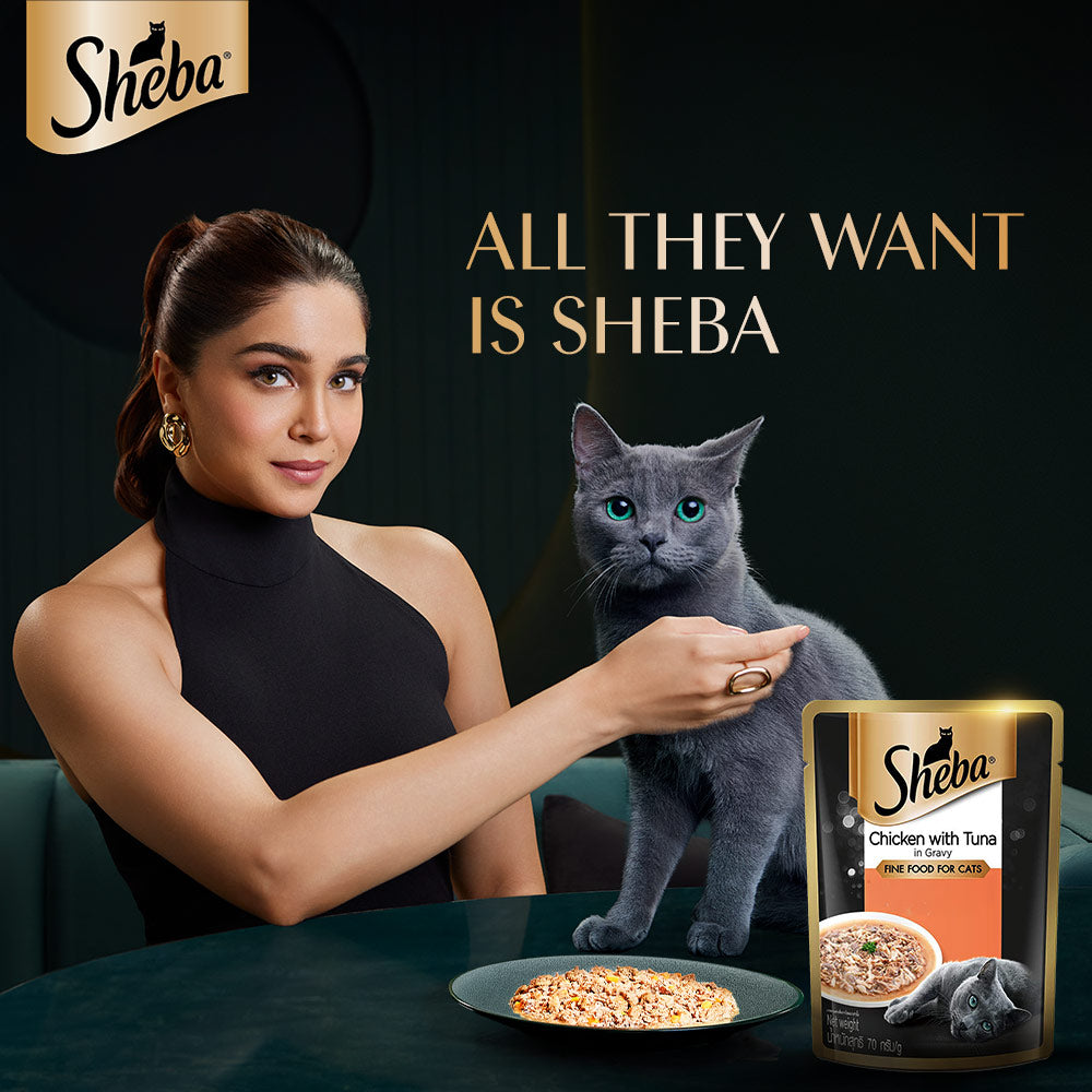 Sheba Rich Premium Chicken With Tuna In Gravy Adult Wet Cat Food - 70 gm Packs - Heads Up For Tails