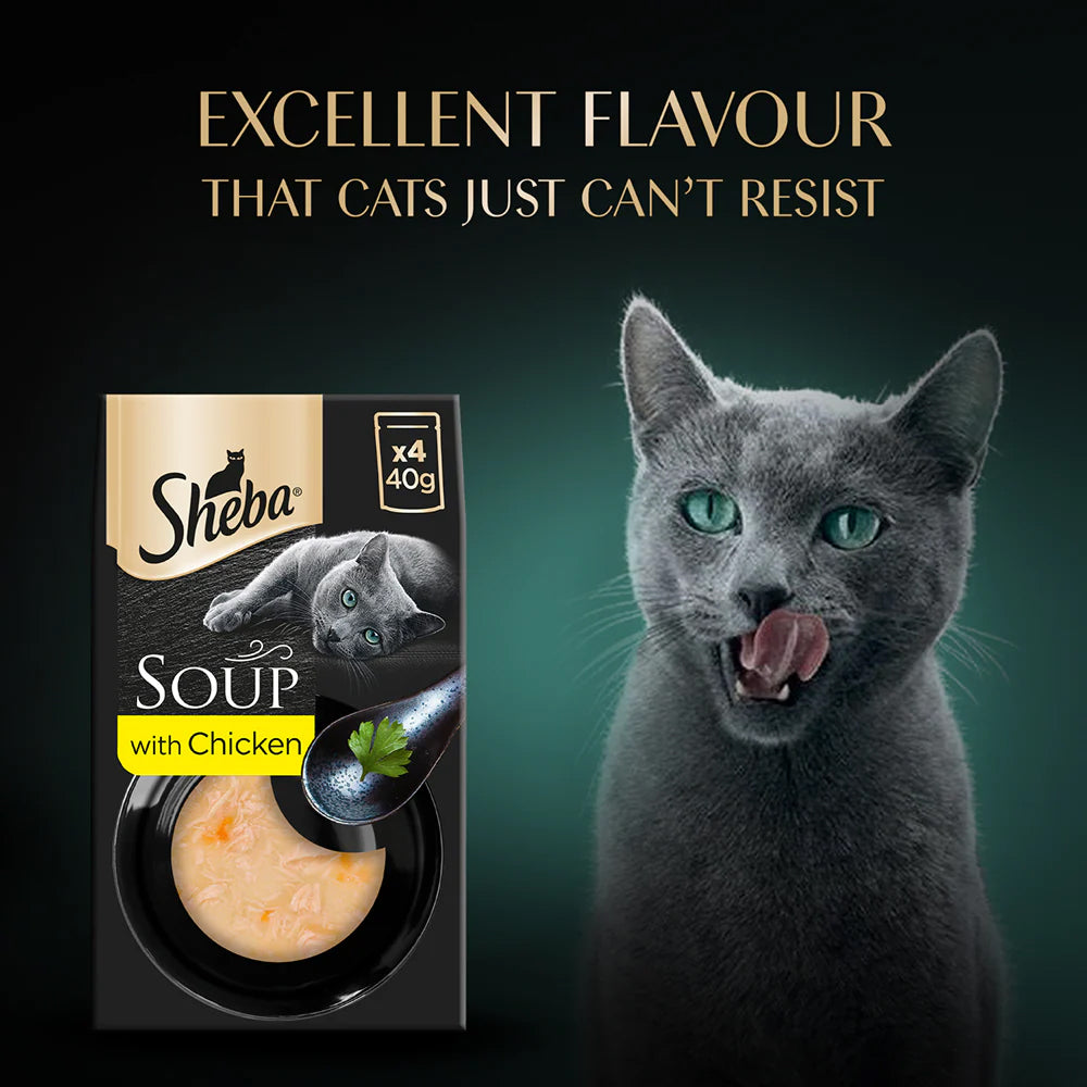 Sheba Soup With Chicken Wet Food For Cat - 40 gm x 4 pcs