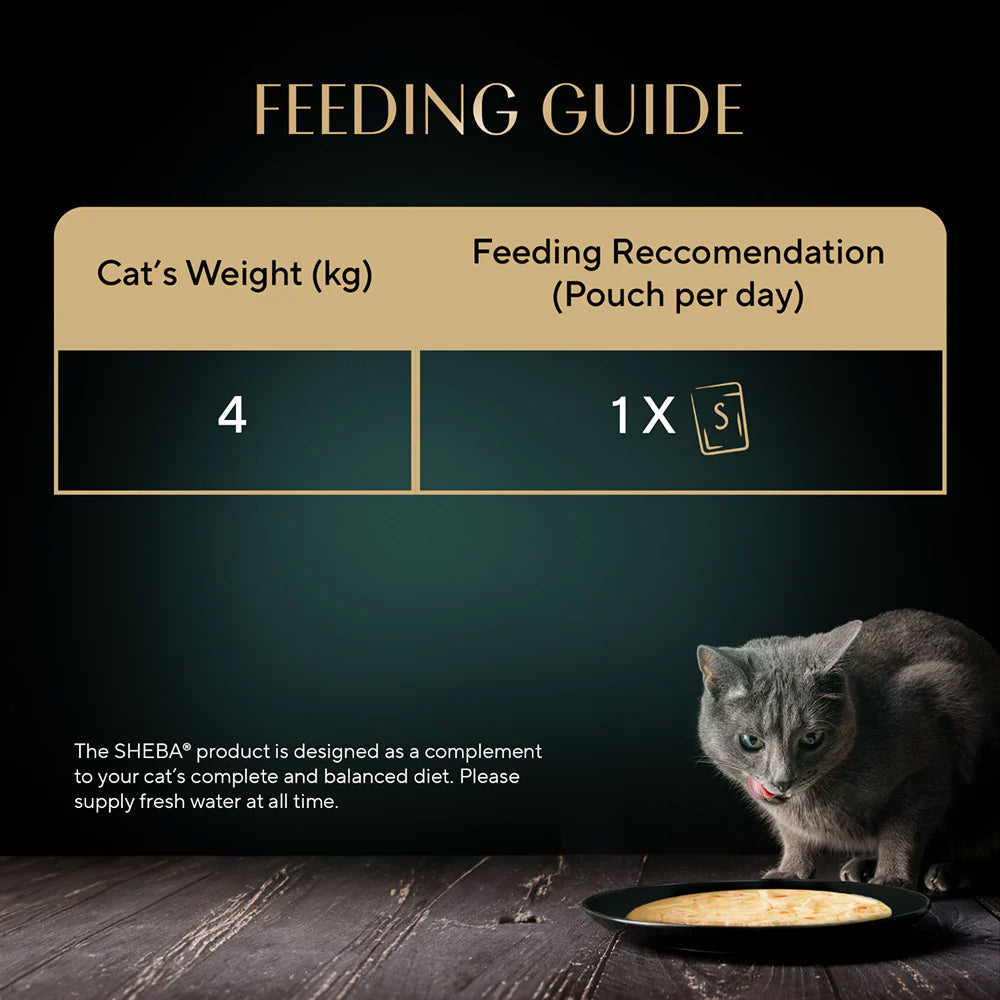 Sheba Soup With Chicken Wet Food For Cat - 40 gm x 4 pcs