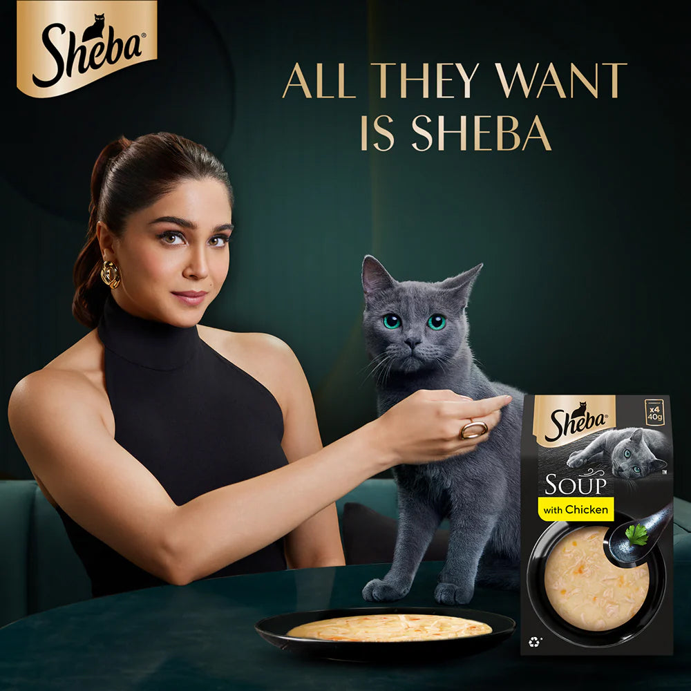 Sheba Soup With Chicken Wet Food For Cat - 40 gm x 4 pcs