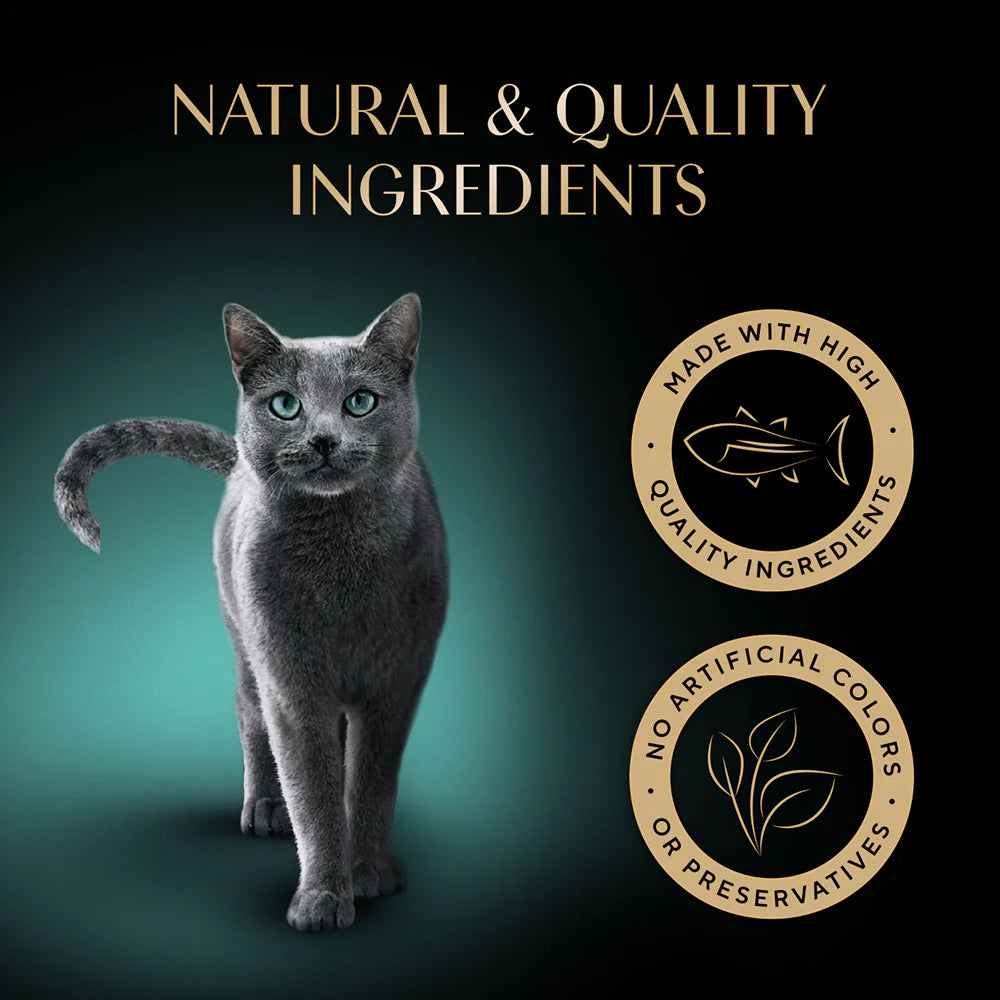 Sheba Soup With Tuna Wet Food For Cat - 40 gm x 4 pcs - Heads Up For Tails