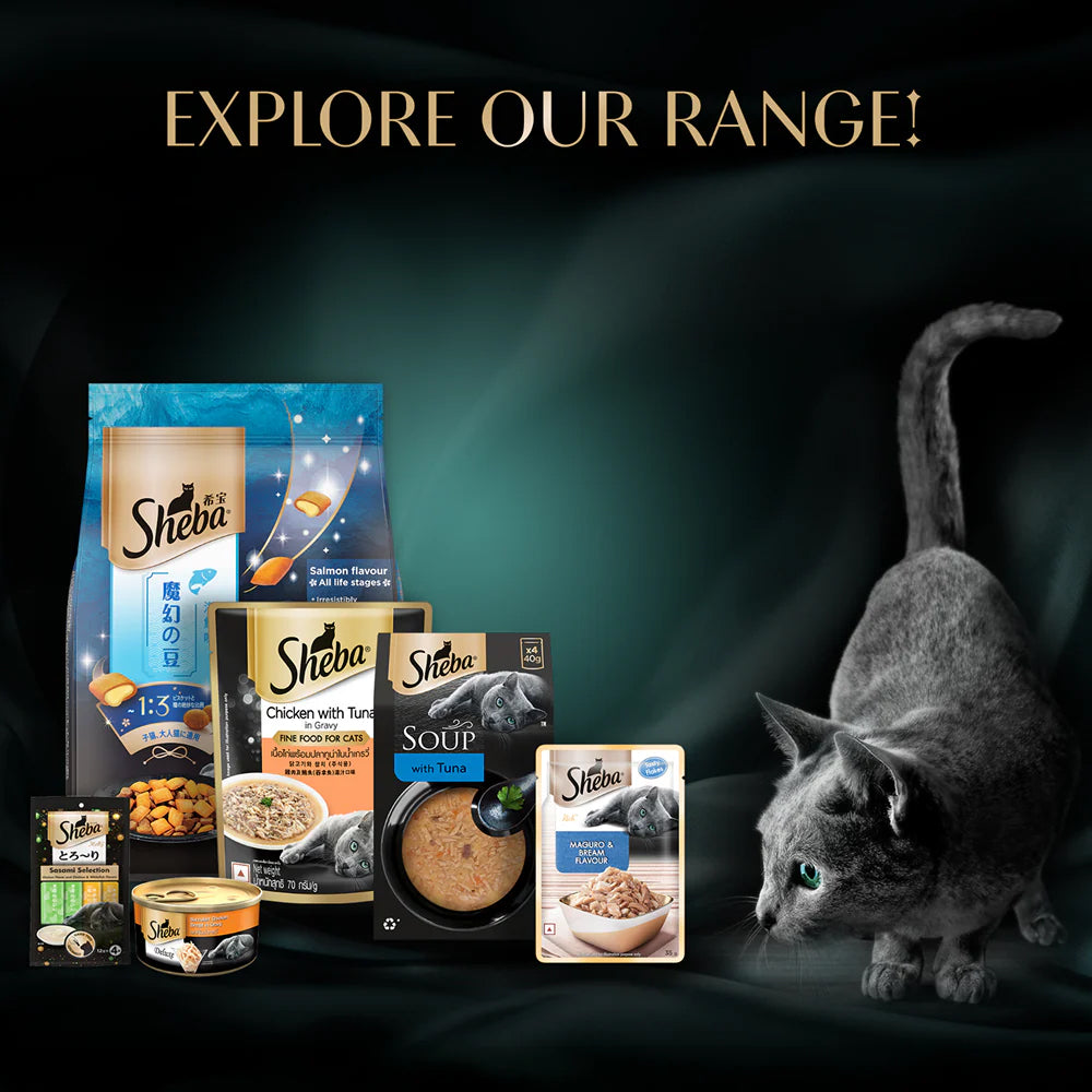 Sheba Soup With Tuna Wet Food For Cat - 40 gm x 4 pcs - Heads Up For Tails