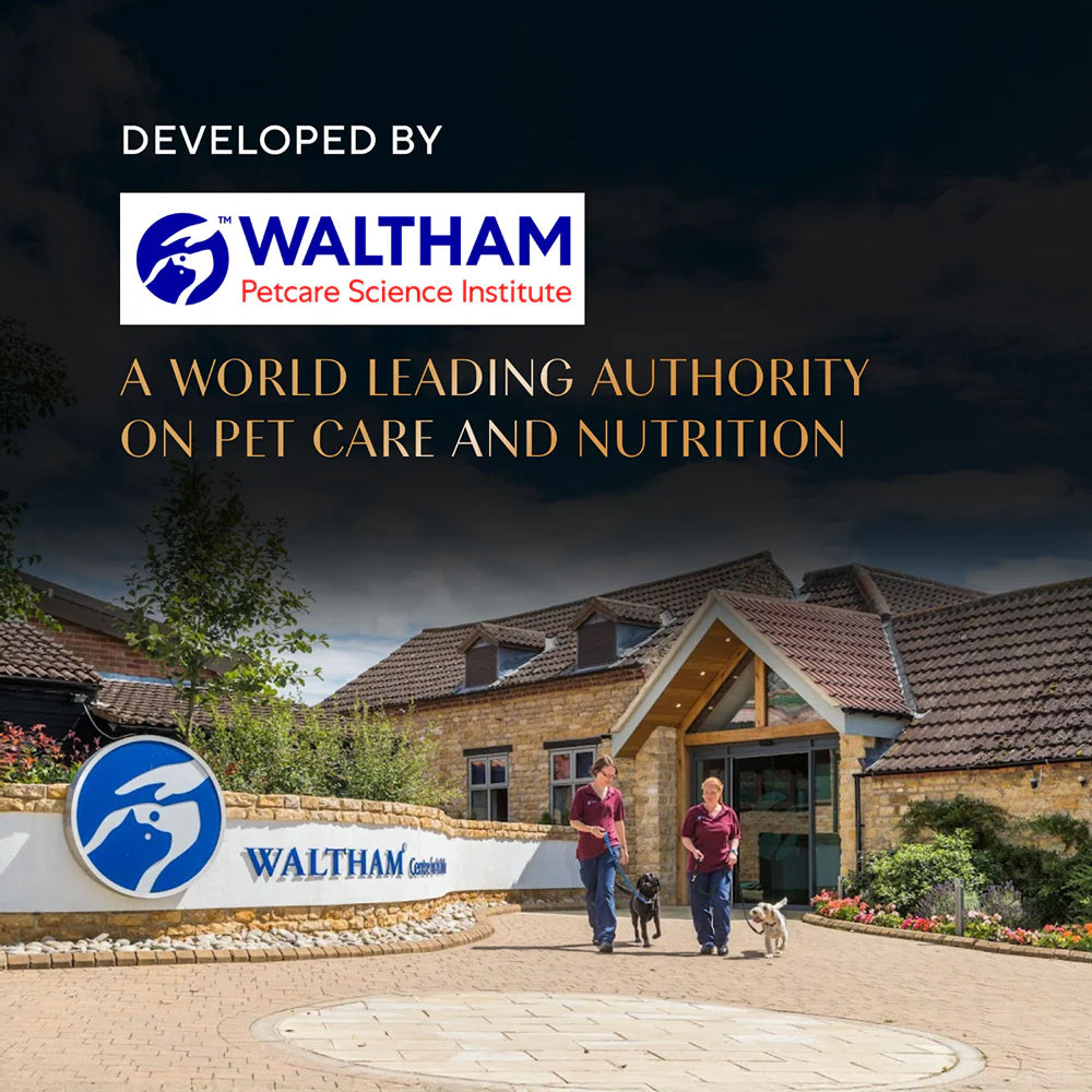 Sheba Soup With Tuna Wet Food For Cat - 40 gm x 4 pcs - Heads Up For Tails