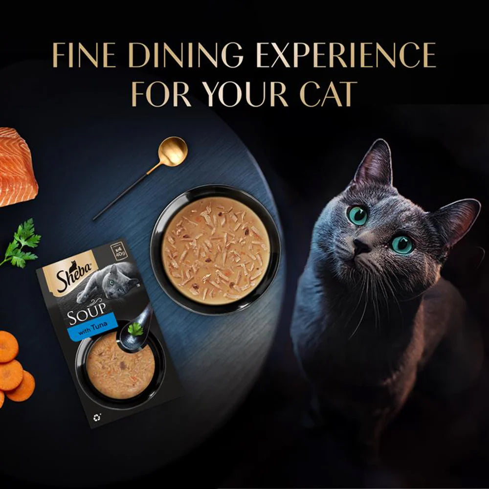 Sheba Soup With Tuna Wet Food For Cat - 40 gm x 4 pcs - Heads Up For Tails