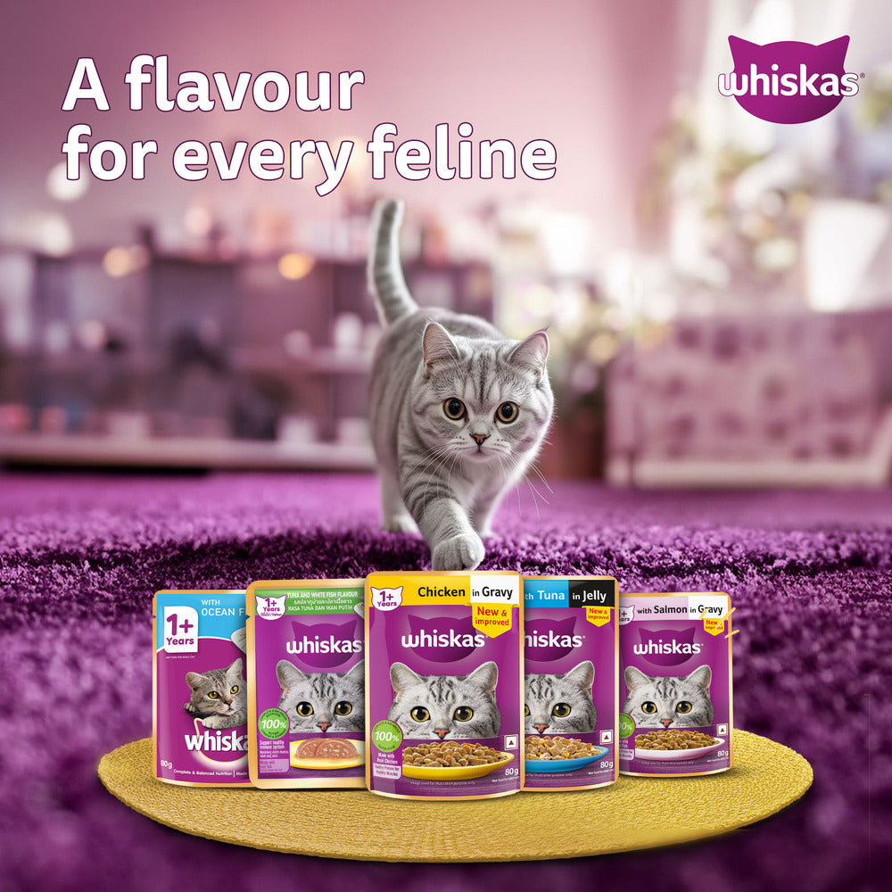Whiskas Salmon in Gravy (1+ Years) Wet Food For Adult Cat - 80 gm Pack - Heads Up For Tails