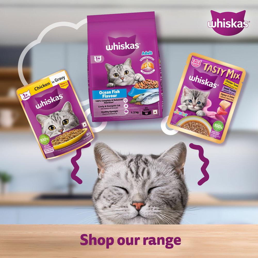 Whiskas Salmon in Gravy (1+ Years) Wet Food For Adult Cat - 80 gm Pack - Heads Up For Tails