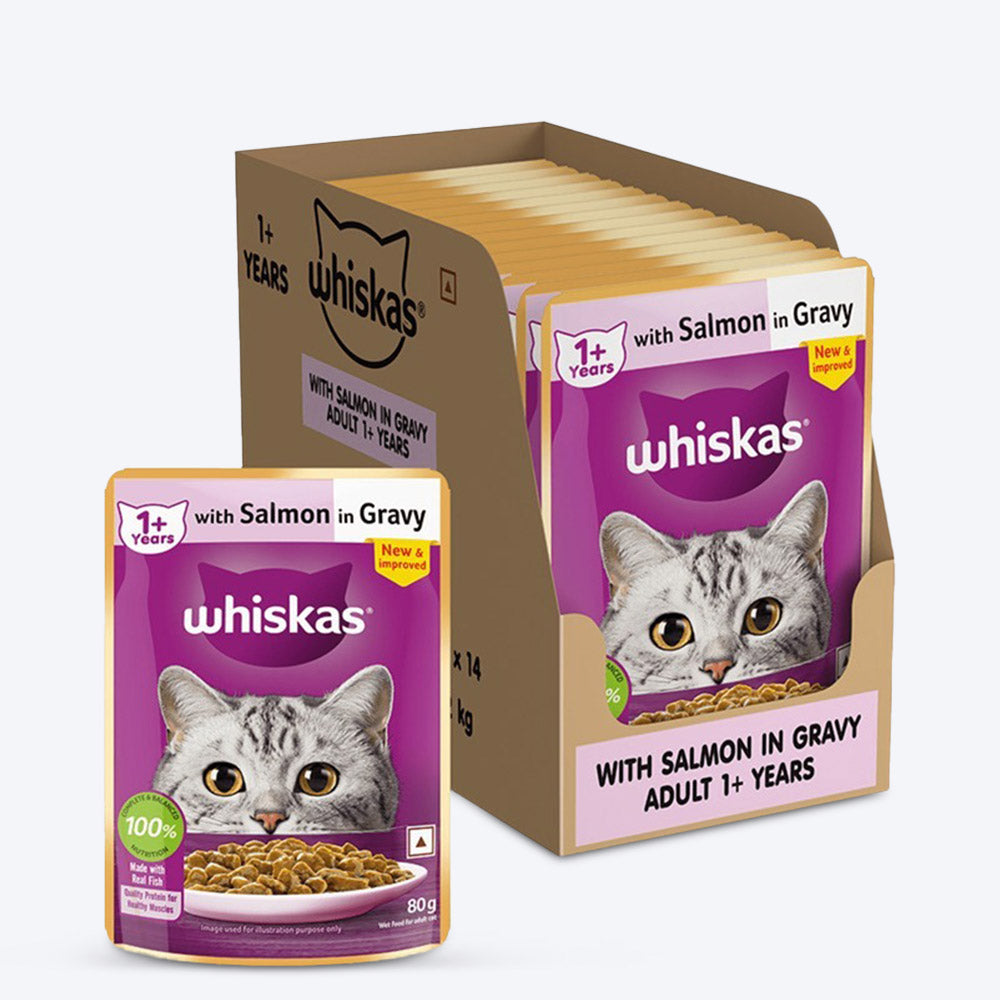 Whiskas Salmon in Gravy (1+ Years) Wet Food For Adult Cat - 80 gm Pack - Heads Up For Tails