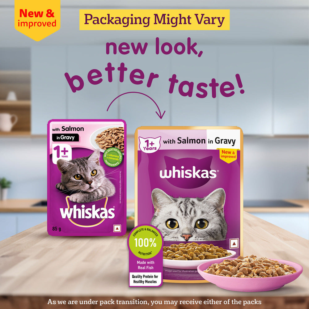 Whiskas Salmon in Gravy (1+ Years) Wet Food For Adult Cat - 80 gm Pack - Heads Up For Tails