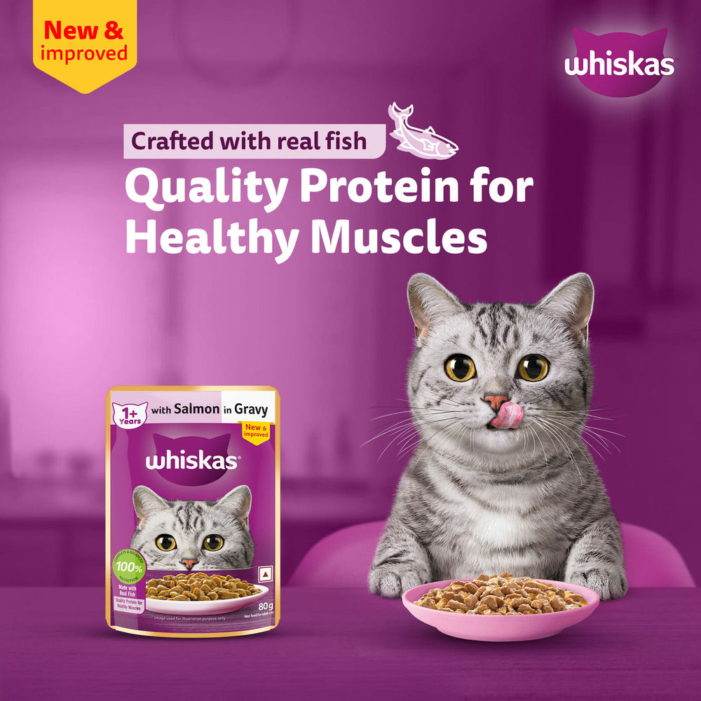 Whiskas Salmon in Gravy (1+ Years) Wet Food For Adult Cat - 80 gm Pack - Heads Up For Tails
