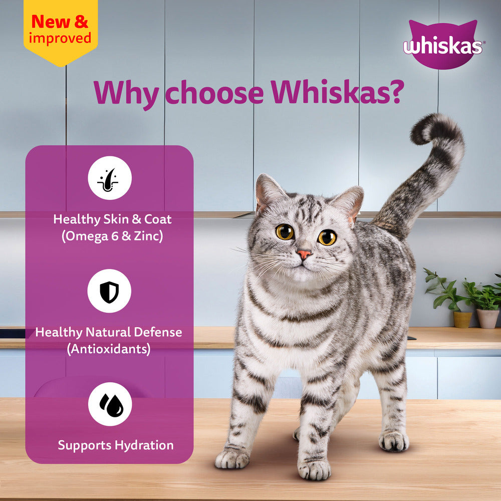 Whiskas Salmon in Gravy (1+ Years) Wet Food For Adult Cat - 80 gm Pack - Heads Up For Tails
