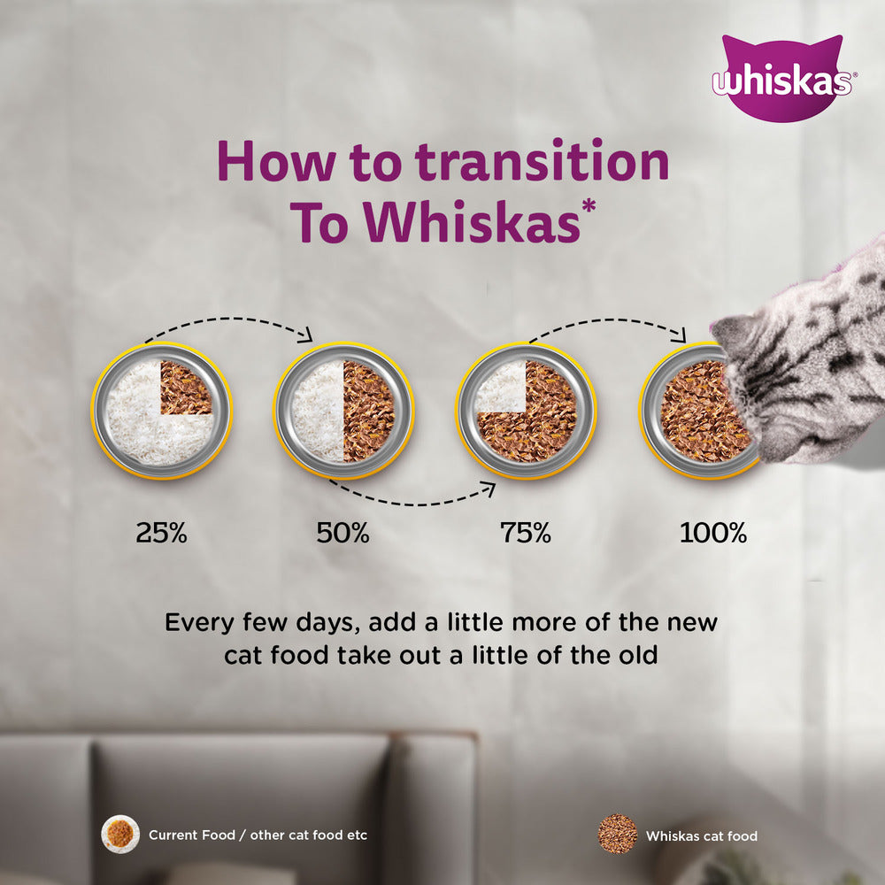 Whiskas Tuna in Jelly (2-12 Months) Wet Food For Kitten - 80 gm Pack - Heads Up For Tails