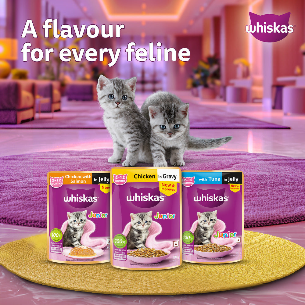 Whiskas Tuna in Jelly (2-12 Months) Wet Food For Kitten - 80 gm Pack - Heads Up For Tails