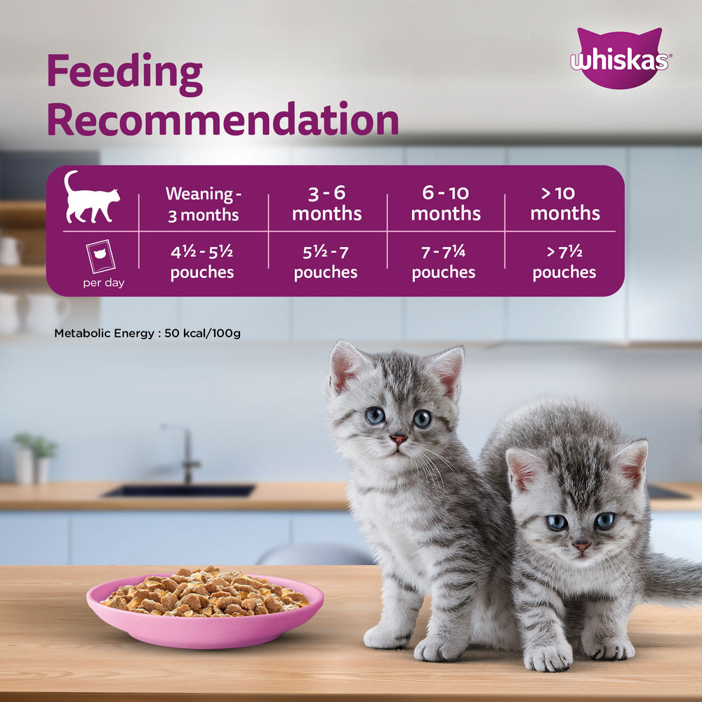Whiskas Tuna in Jelly (2-12 Months) Wet Food For Kitten - 80 gm Pack - Heads Up For Tails