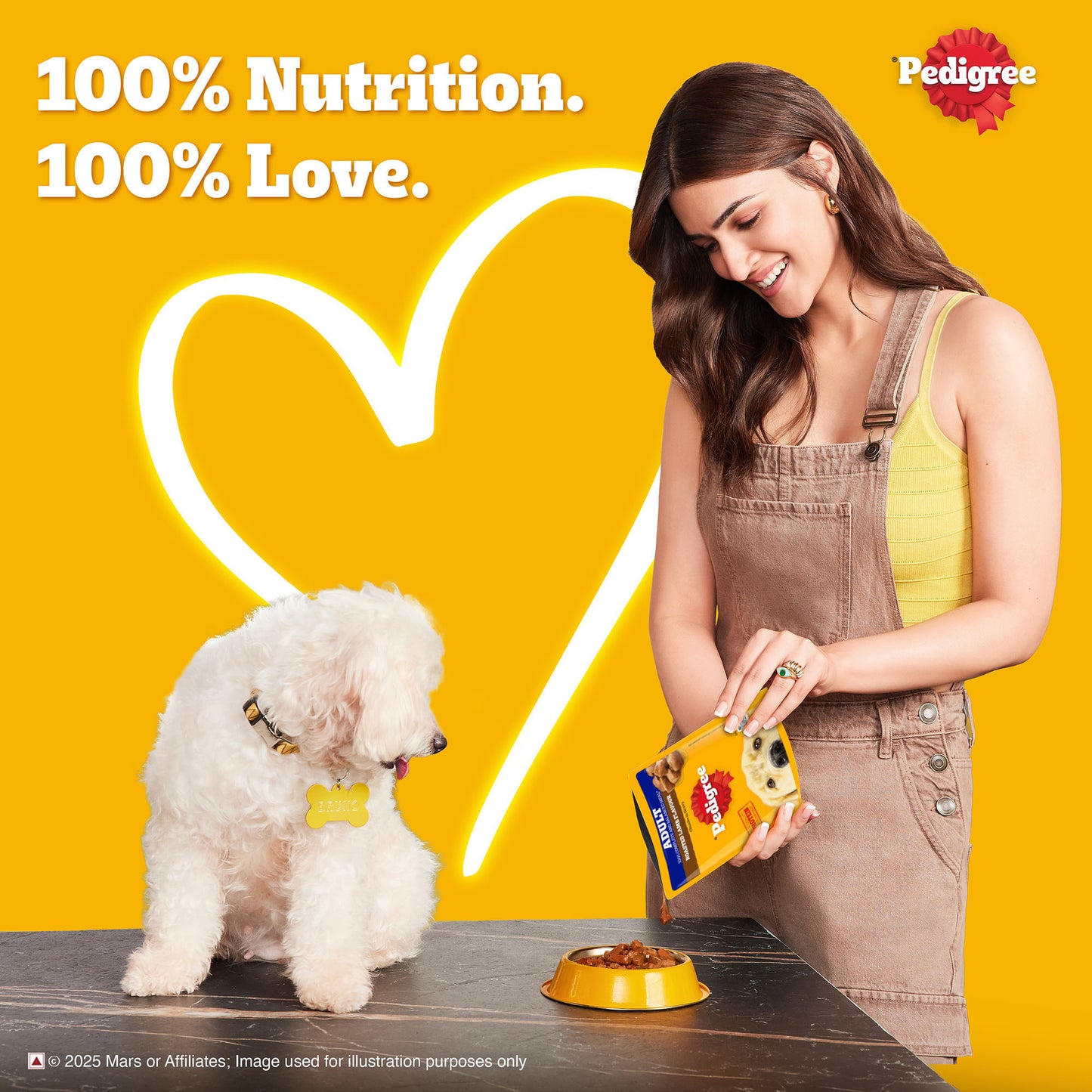 Pedigree Roasted Lamb Chunks In Gravy Adult Dog Wet Food - 70 gm - Heads Up For Tails