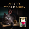 Sheba Katsuo Pate Wet Food For Adult Cat - 70 gm - Heads Up For Tails