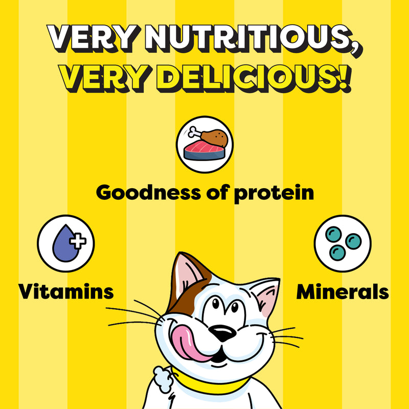 Temptations MixUps Chicken & Salmon Flavours Cat Treat - 75 g - Heads Up For Tails
