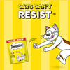 Temptations Tasty Chicken Flavour Cat Treat - 160 g - Heads Up For Tails