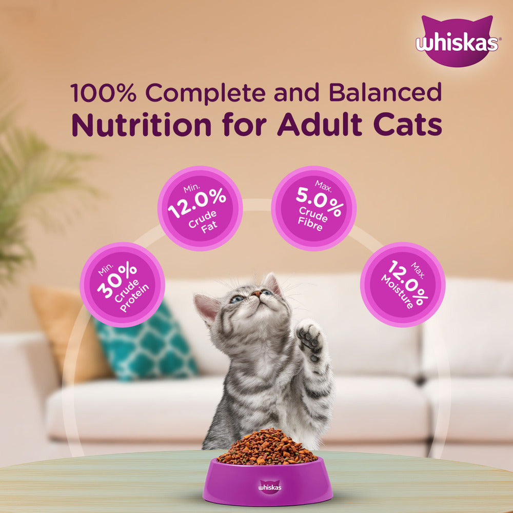 Whiskas Ocean Fish Dry Food For Mother & Baby(Kitten) - Heads Up For Tails
