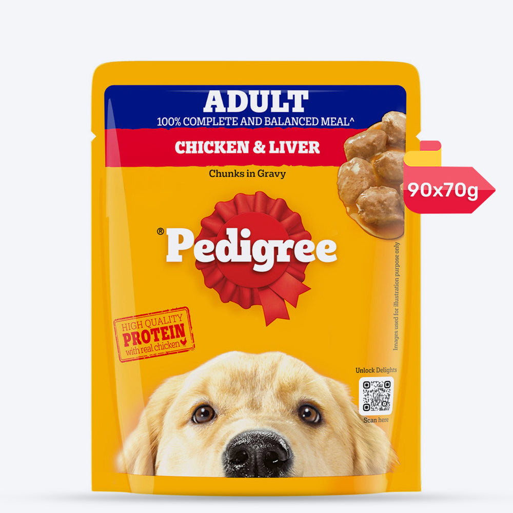 Pedigree Chicken & Liver Chunks in Gravy Adult Wet Dog Food - 70 g packs - Heads Up For Tails