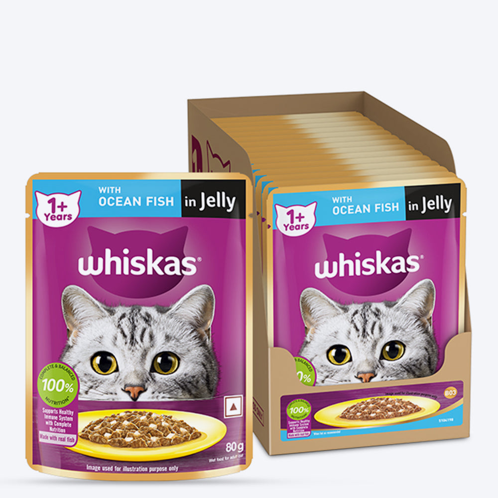 Whiskas Ocean Fish Wet Food For Adult Cat - 80 gm Pack - Heads Up For Tails