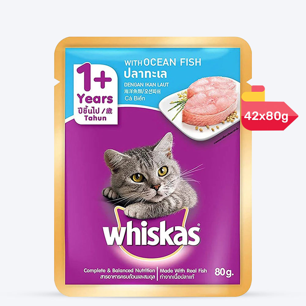 Whiskas Ocean Fish Wet Food For Adult Cat - 80 gm Pack - Heads Up For Tails