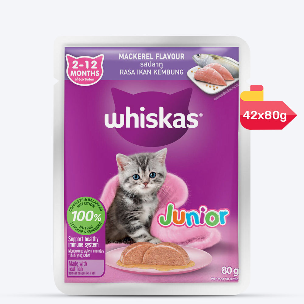 Whiskas Mackerel In Jelly Wet Food For Junior (2-12 Months) Kitten - 80 gm Pack - Heads Up For Tails