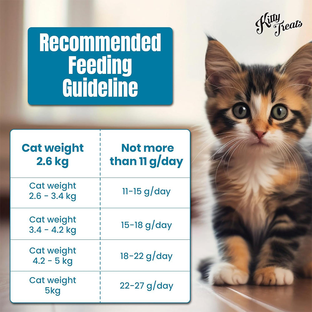 Rena's Recipe Chicken & Scallop Treats For Kitten - 30 gm_08