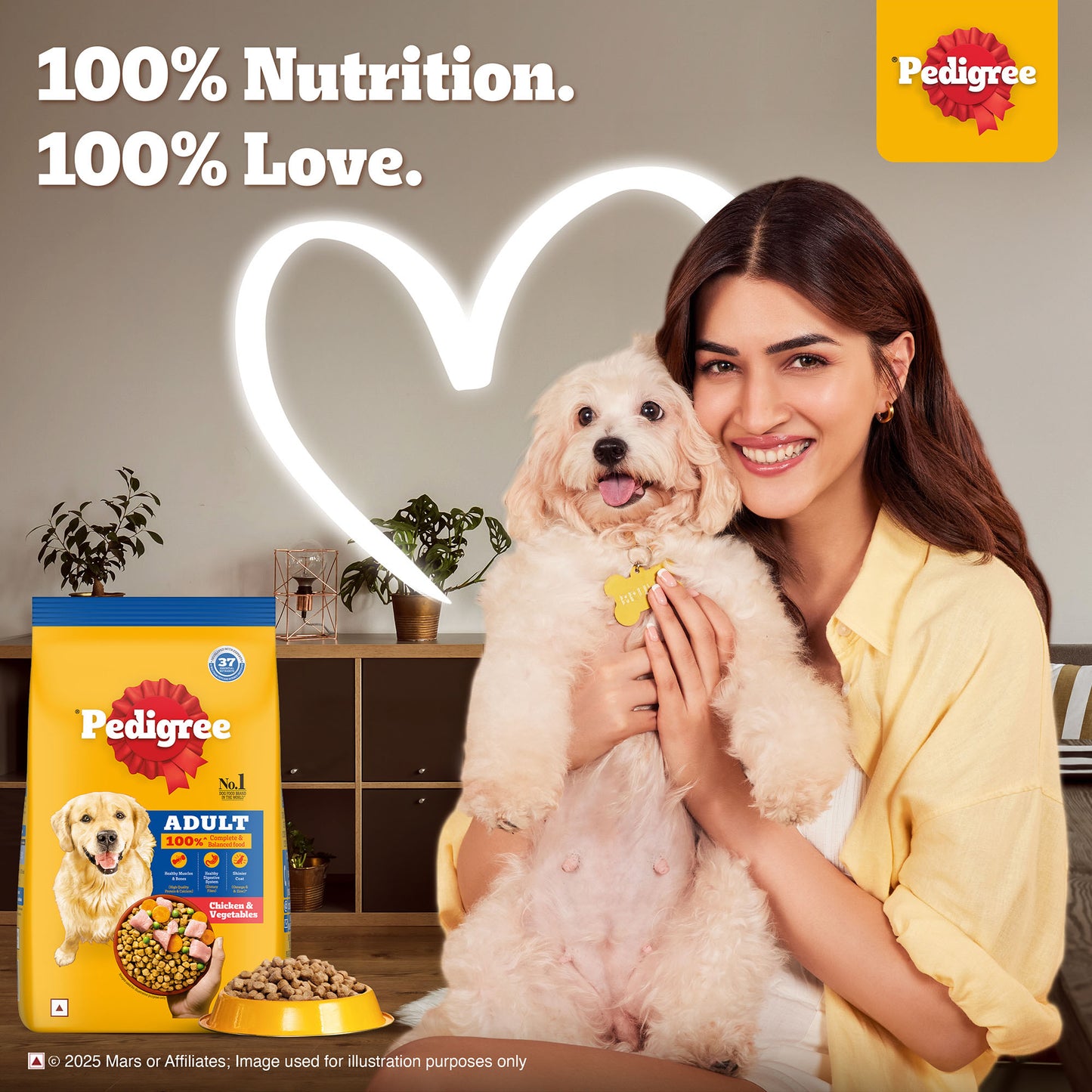 Pedigree Chicken & Vegetables Adult Dry Dog Food - Heads Up For Tails