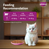 Whiskas Persian (3 In 1) Hair Solution Dry Food For Kitten - Heads Up For Tails