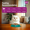 Whiskas Persian (3 In 1) Hair Solution Dry Food For Adult Cat - Heads Up For Tails