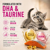 Signature Grain Zero Ocean Fish Sardine & Mackerel Mother & Kitten Dry Cat Food - 7 kg
