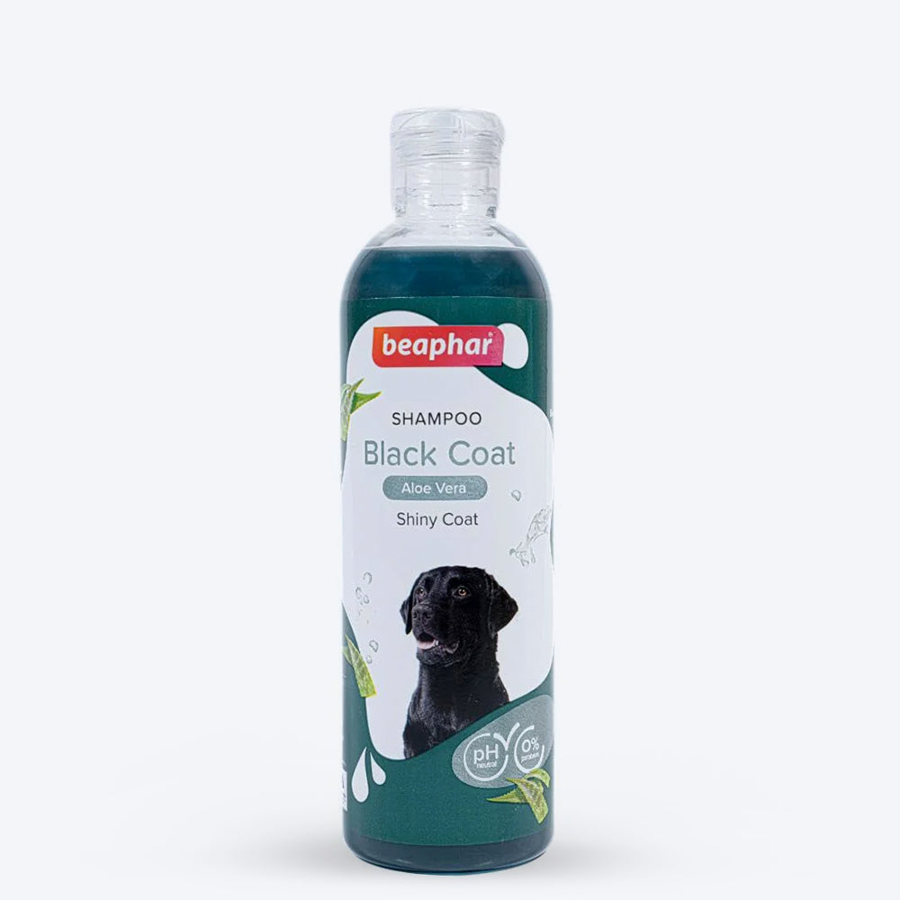 Beaphar Black And Shiny Coat Shampoo - For Dog Aloe Vera - 250 ml - Heads Up For Tails