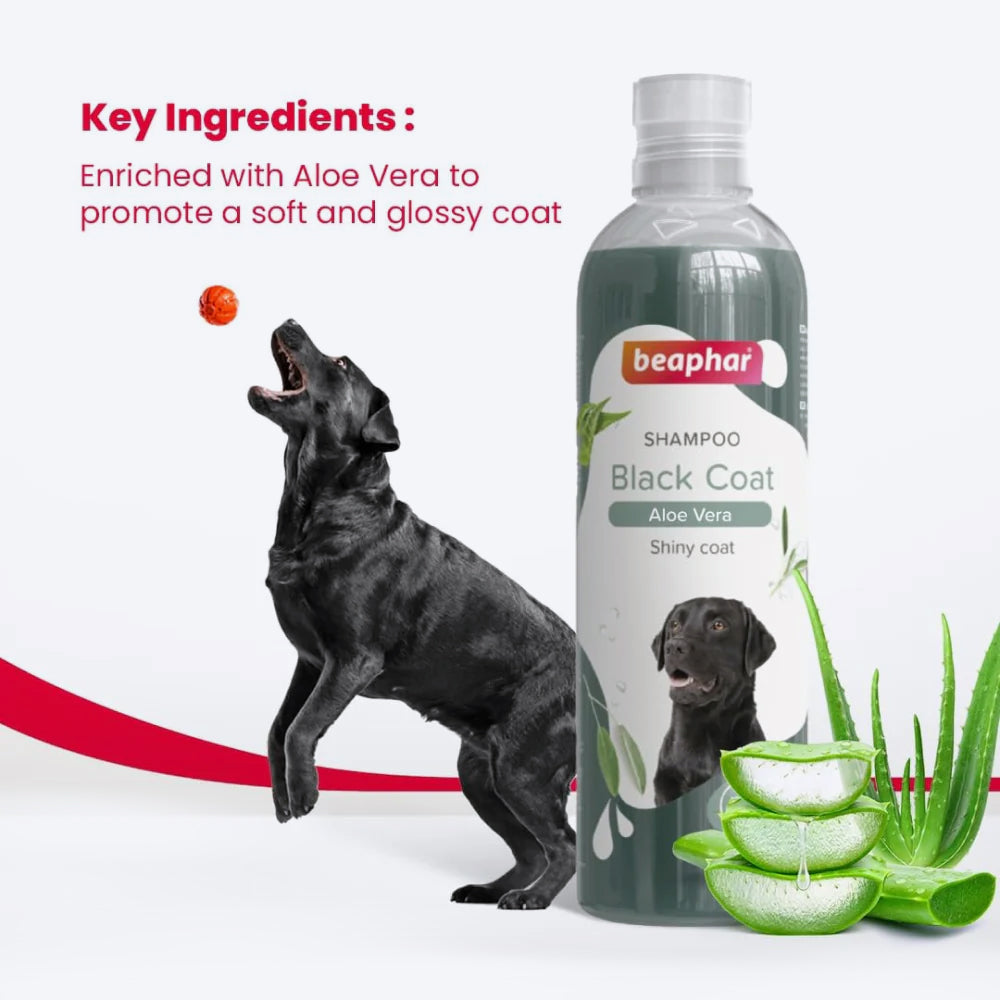 Beaphar Black And Shiny Coat Shampoo - For Dog Aloe Vera - 250 ml - Heads Up For Tails