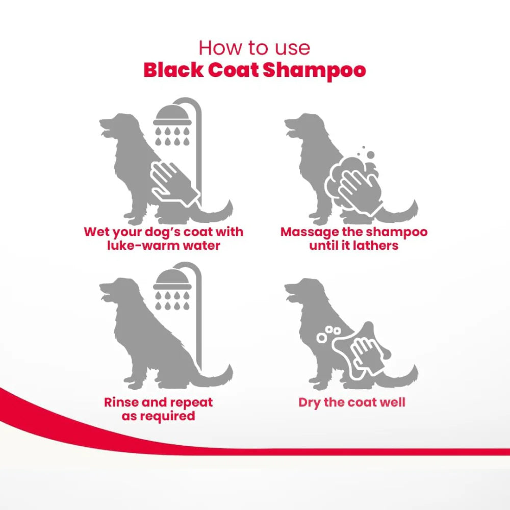 Beaphar Black And Shiny Coat Shampoo - For Dog Aloe Vera - 250 ml - Heads Up For Tails