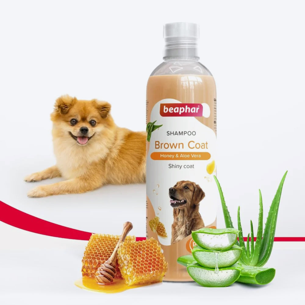 Beaphar Brown And Shiny Coat Shampoo For Dog - Honey & Aloe Vera - 250 ml - Heads Up For Tails