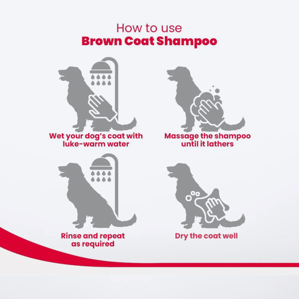 Beaphar Brown And Shiny Coat Shampoo For Dog - Honey & Aloe Vera - 250 ml - Heads Up For Tails