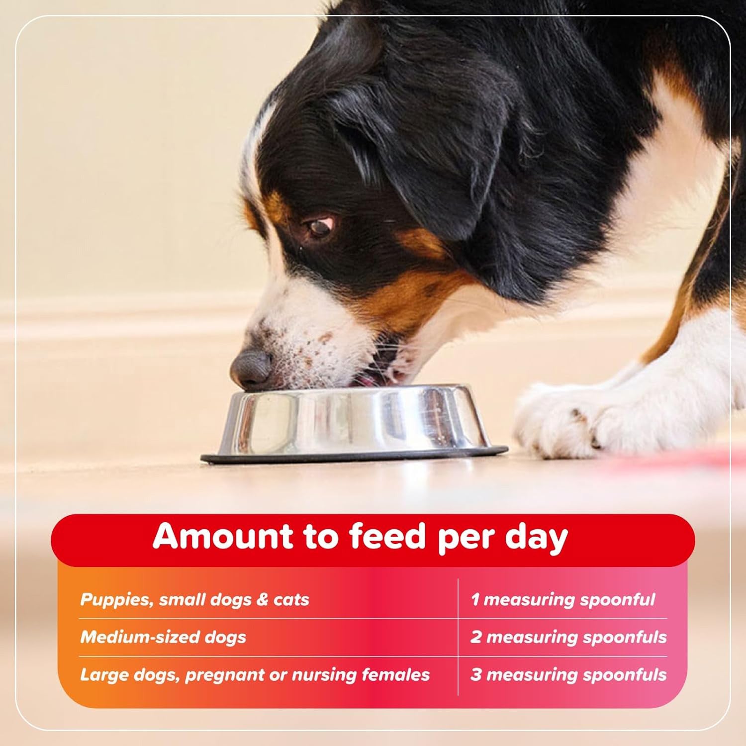 Beaphar Bone Builder For Dogs & Cats - 400 g - Heads Up For Tails