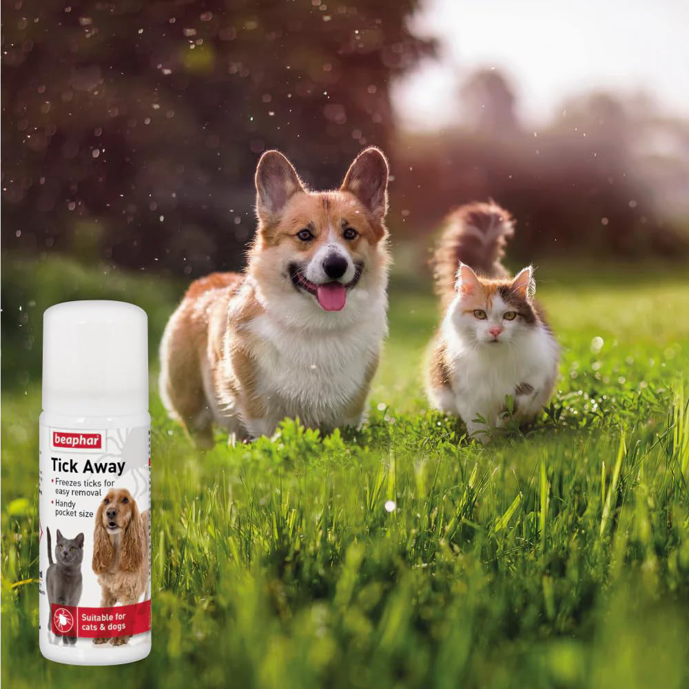 Beaphar Tick Away Spray For Dogs & Cats - 50 ml - Heads Up For Tails