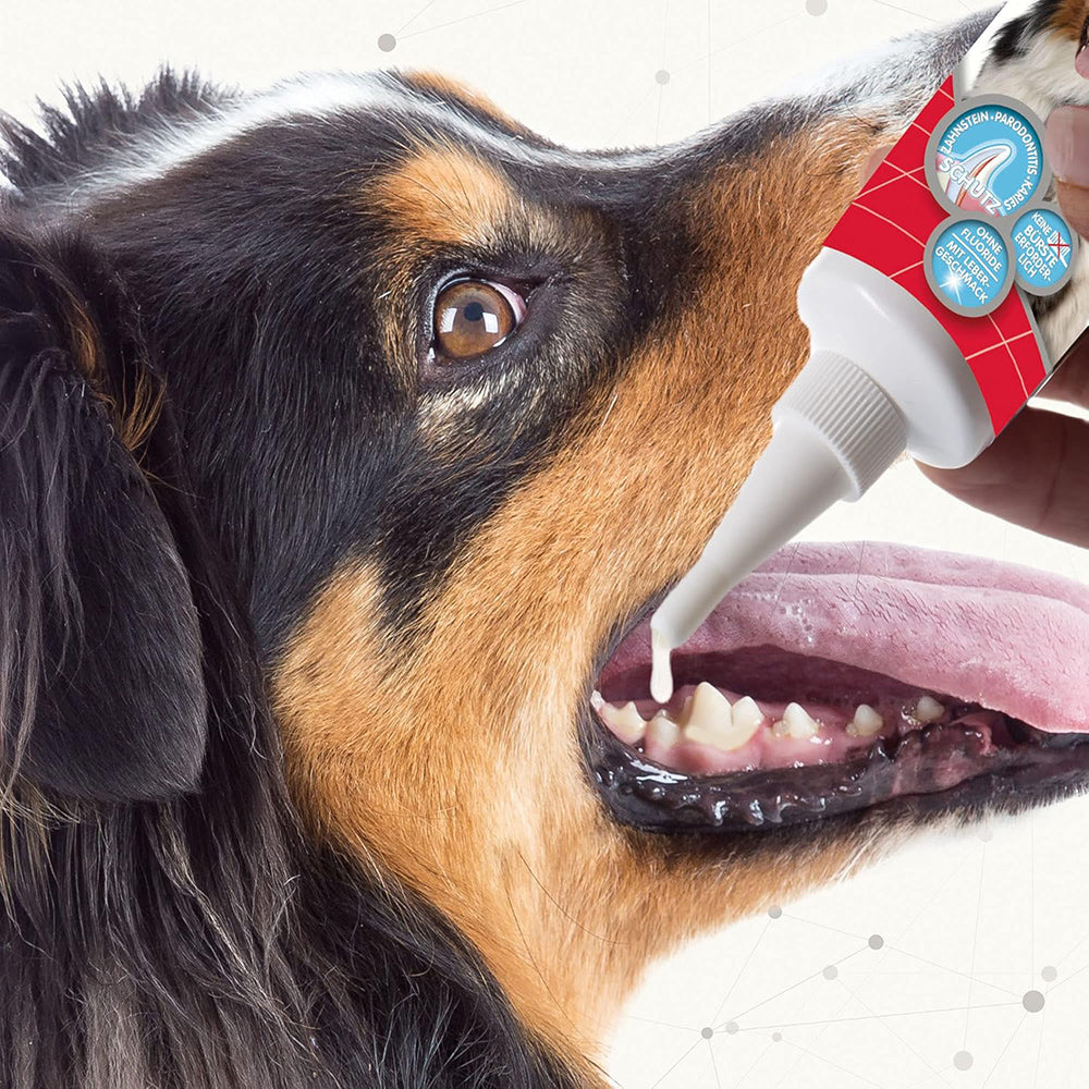 Beaphar Tooth Gel For Dogs & Cats - 100 gm - Heads Up For Tails