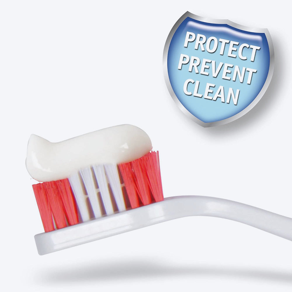 Beaphar Toothpaste For Dogs & Cats- 100 gm - Heads Up For Tails